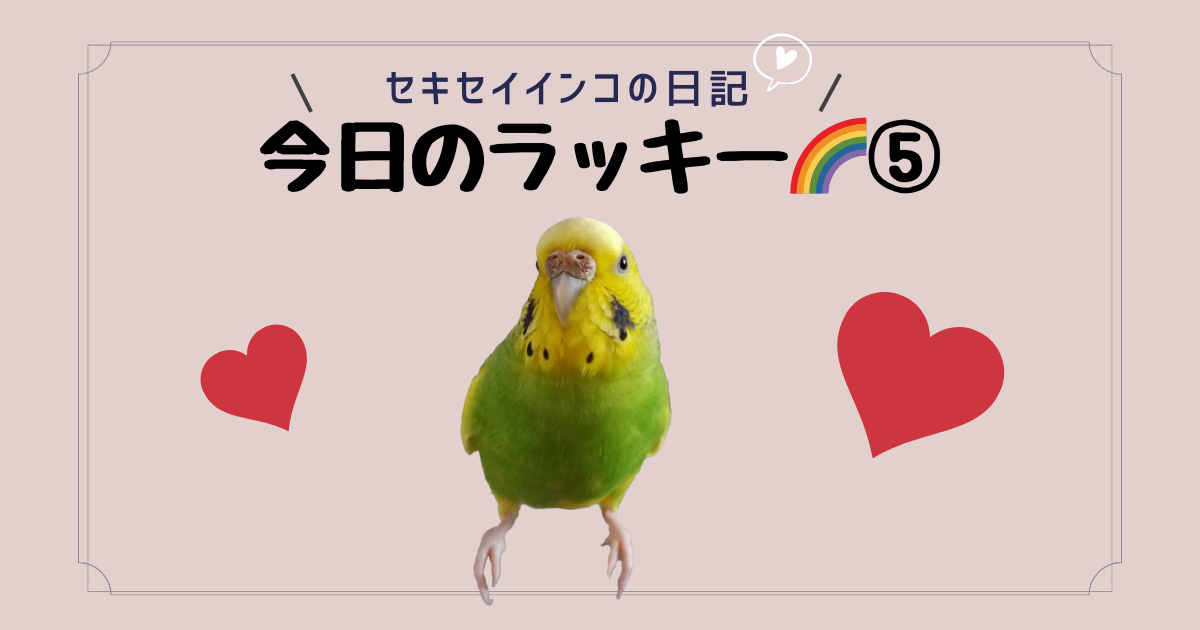 セキセイインコの日記☆今日のラッキー５のアイキャッチ画像