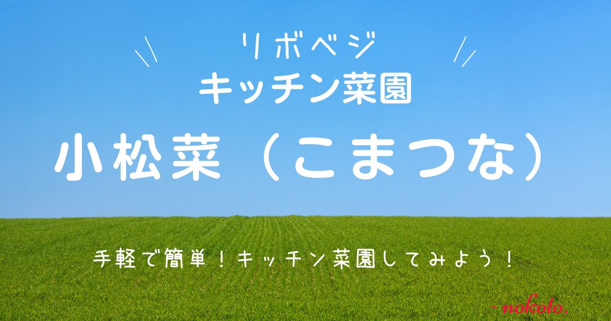 キッチン菜園・リボベジ・小松菜のアイキャッチ画像